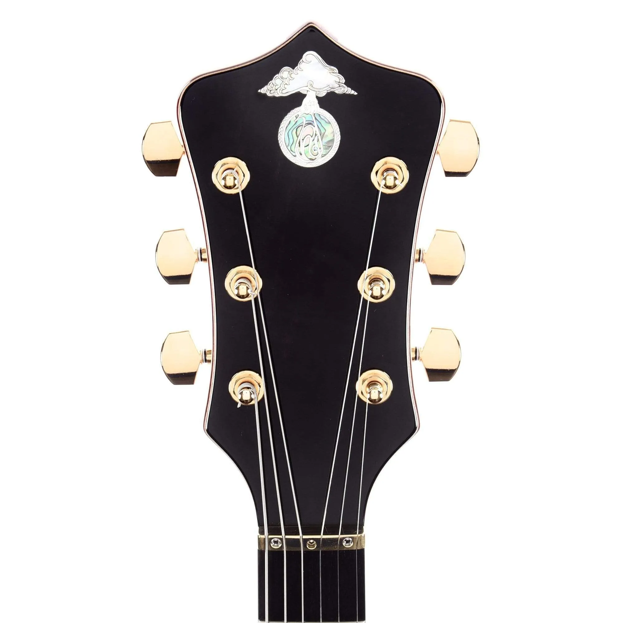 Alembic Tribute Cocobolo w/Red Side LEDs, Beveled Peghead, & Continuous Cocobolo Backplates