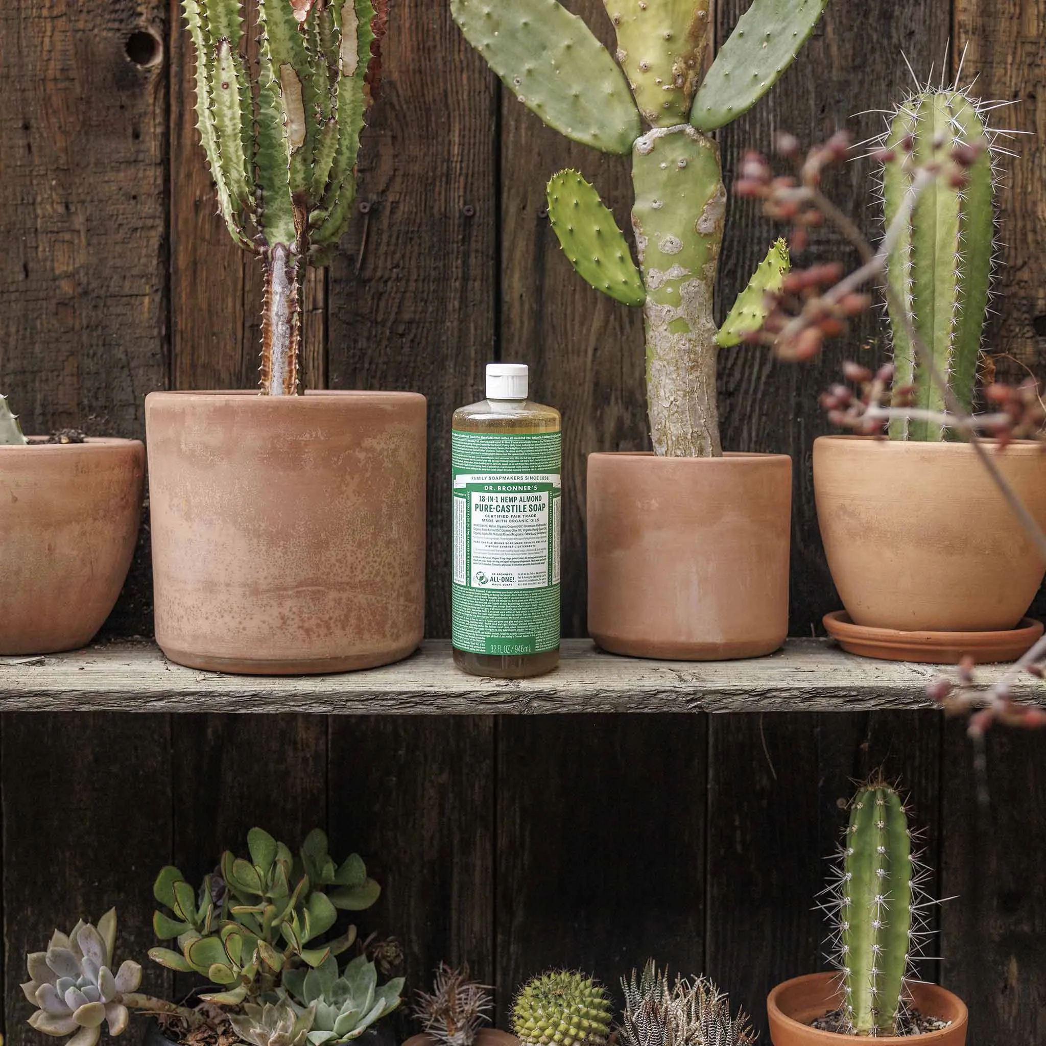 Almond - Pure-Castile Liquid Soap