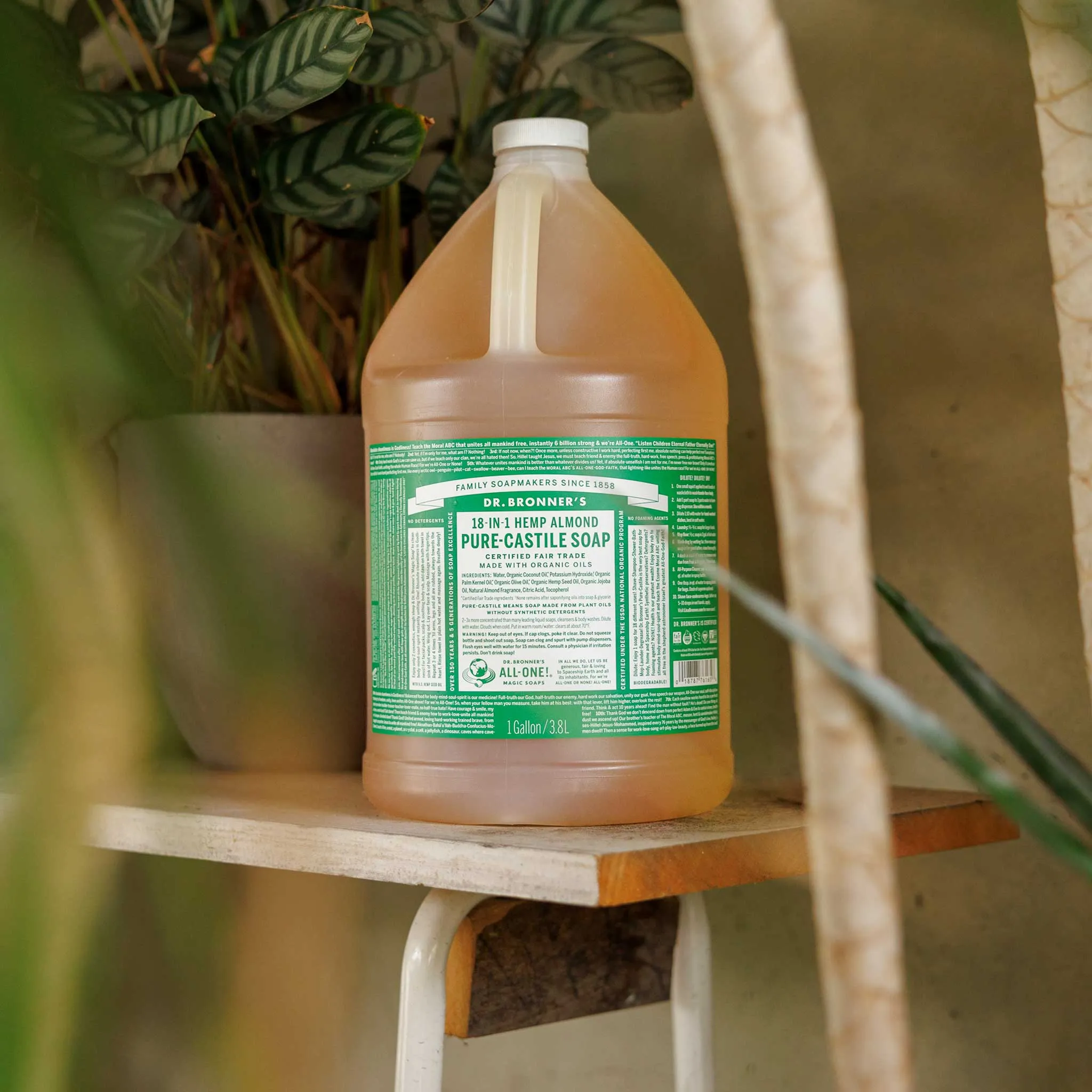 Almond - Pure-Castile Liquid Soap