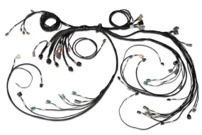 Haltech Nexus R5 LSx DBW Terminated Harness - DBW ready Injector Connector: EV6 (HT-186205)