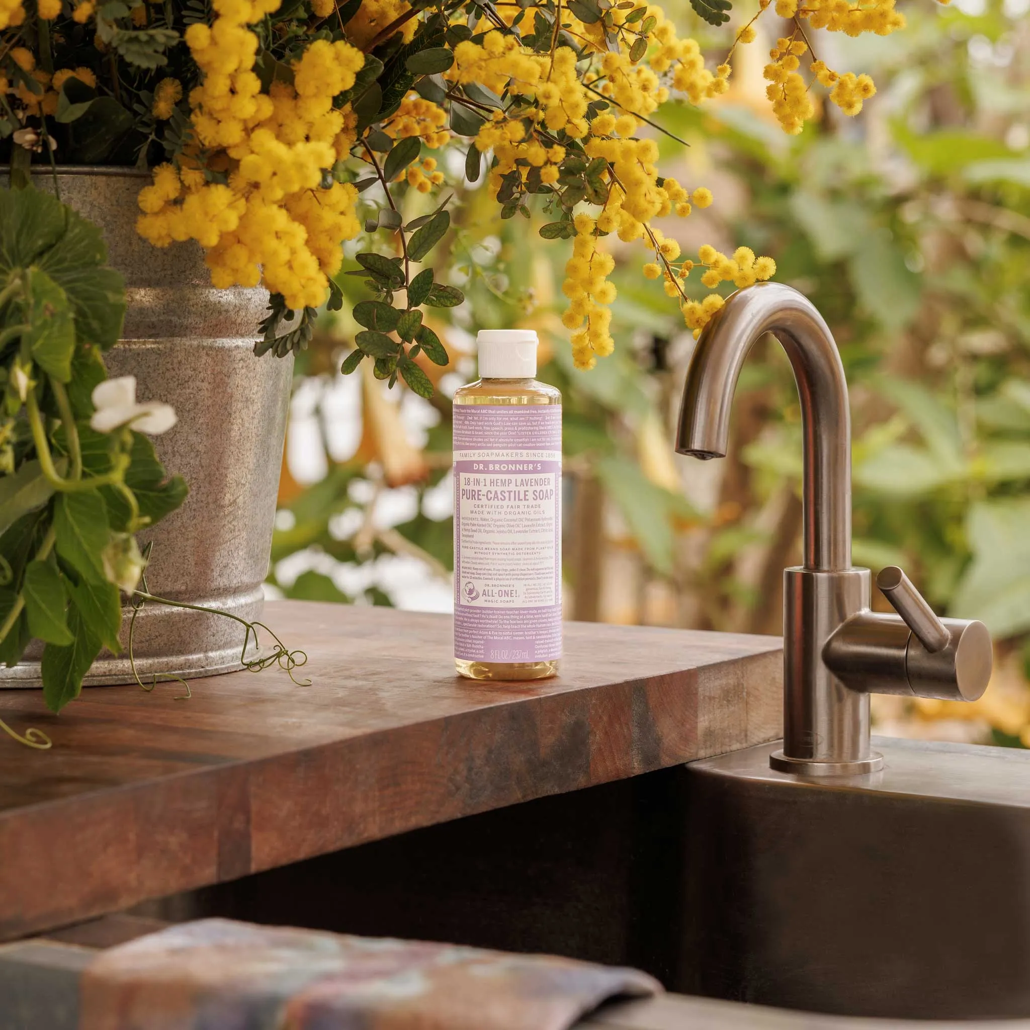 Lavender - Pure-Castile Liquid Soap