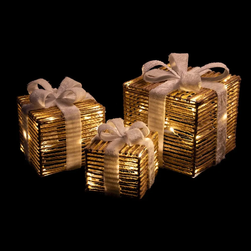 LED Natural String Present Set Asst (3pc)