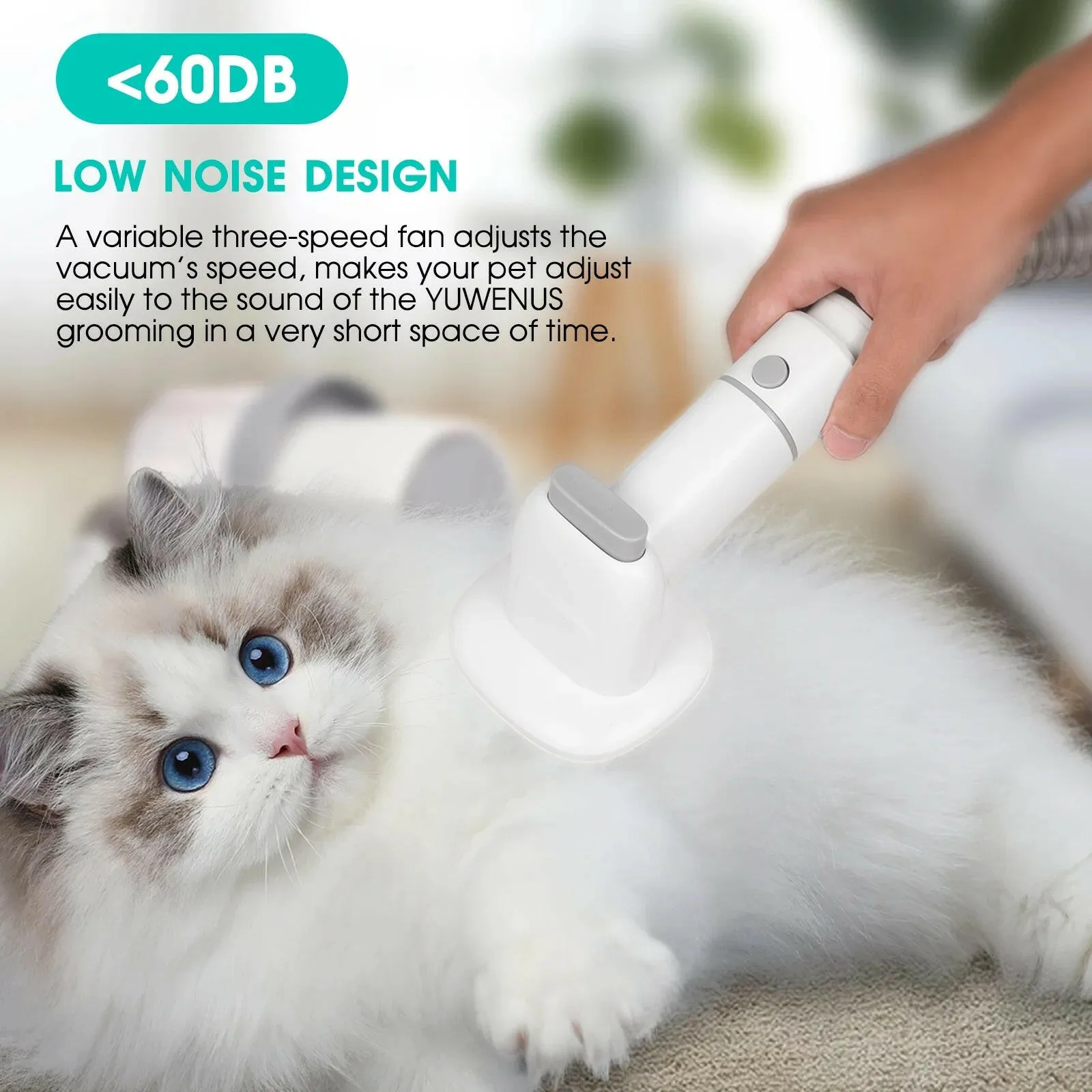 Pet Grooming Kit & Vacuum 2.5L