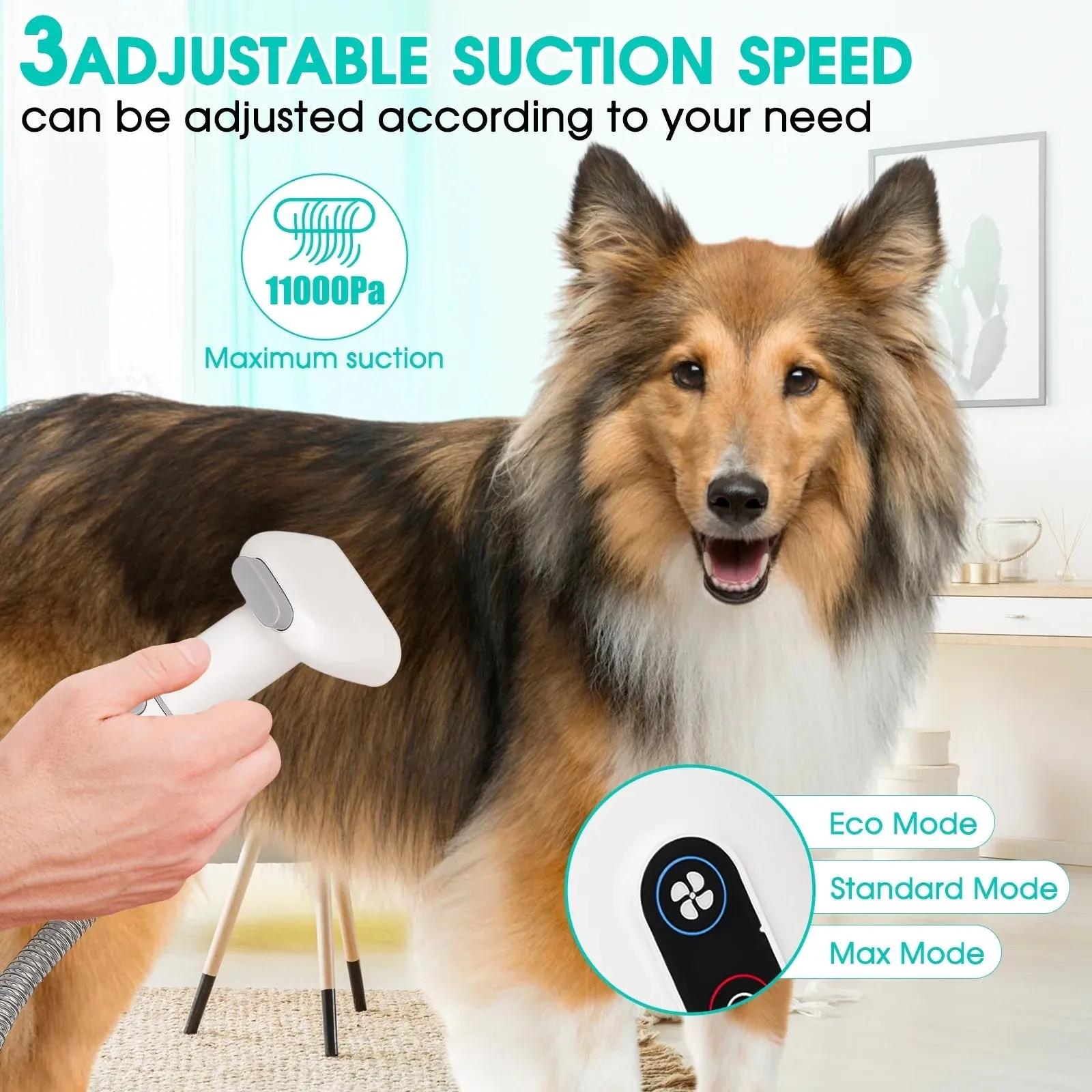 Pet Grooming Kit & Vacuum 2.5L