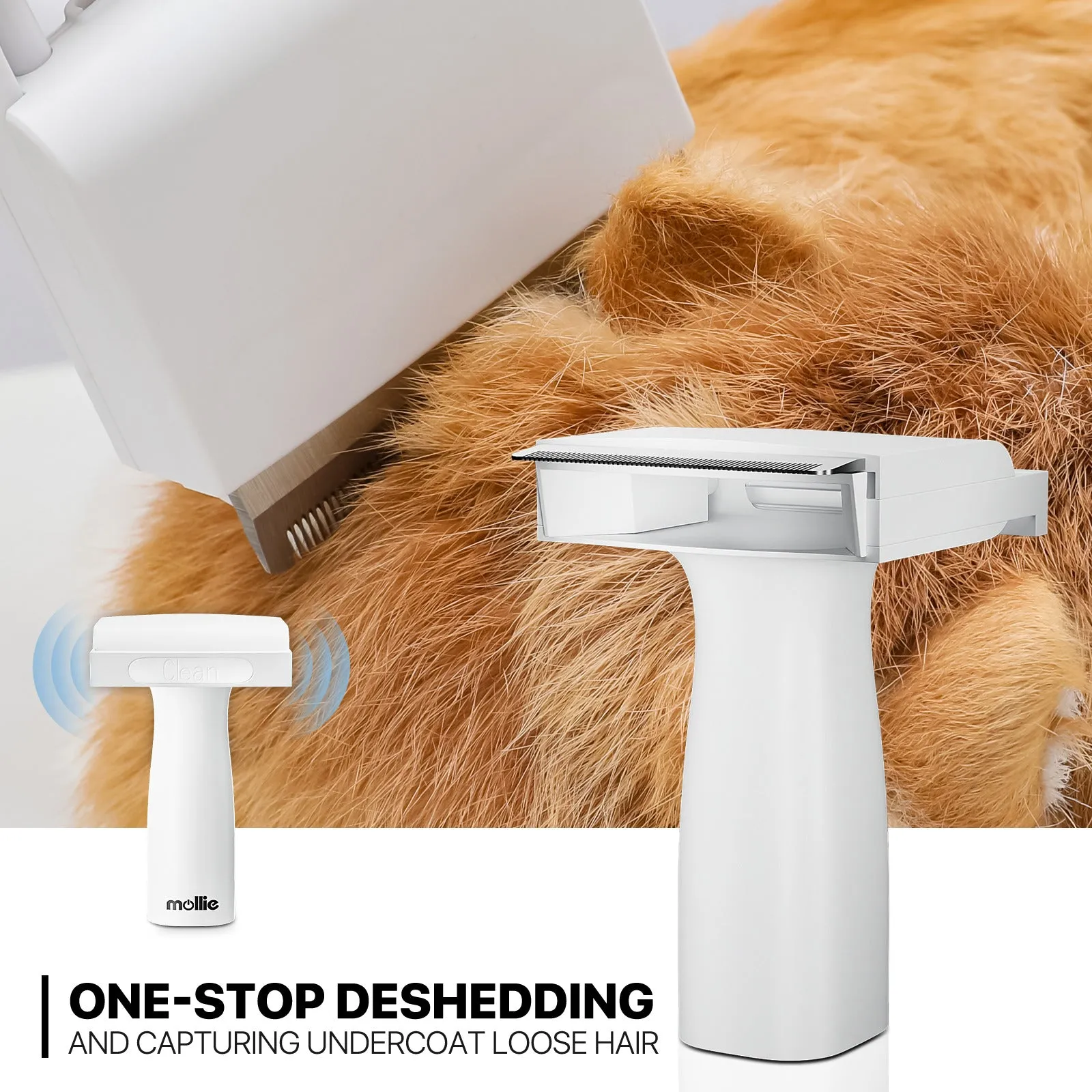 Pet Grooming Vacuum Kit - Blow & Vacuum - 300W, 3 Gear Speed, 6 Nozzles, 4L Dust Cup