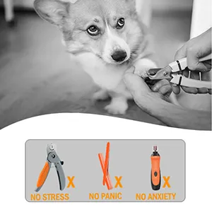 Premium Dog Nail Scratch Pad (with Treat Box) - Scratch Square Dog Nail File Toy