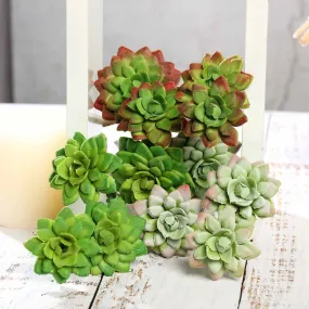 Set of 3 | 12" Assorted Artificial Succulent Plants Echeveria Long Stem Air Plants