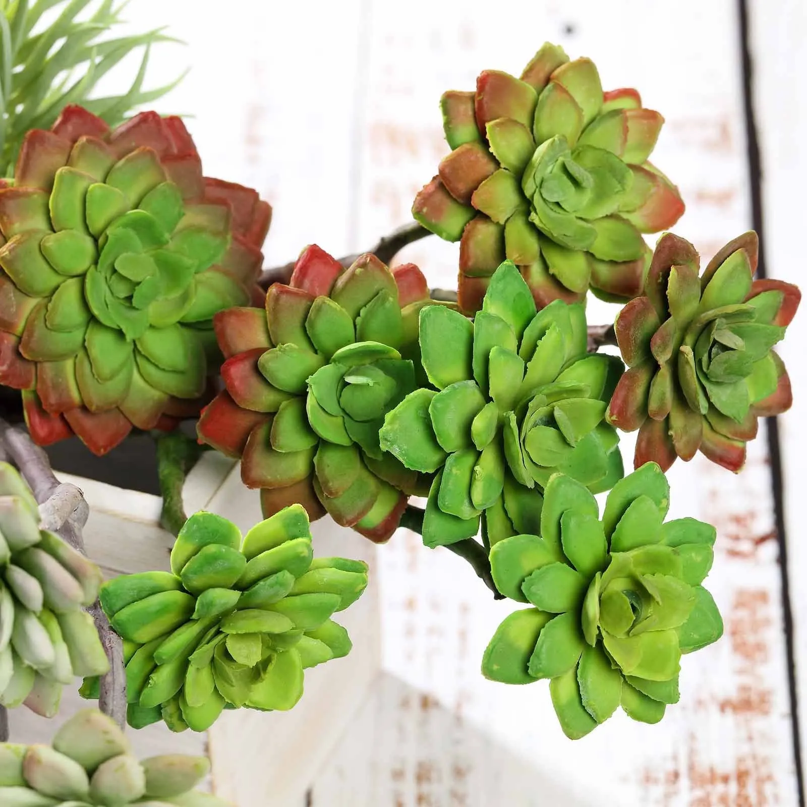 Set of 3 | 12" Assorted Artificial Succulent Plants Echeveria Long Stem Air Plants