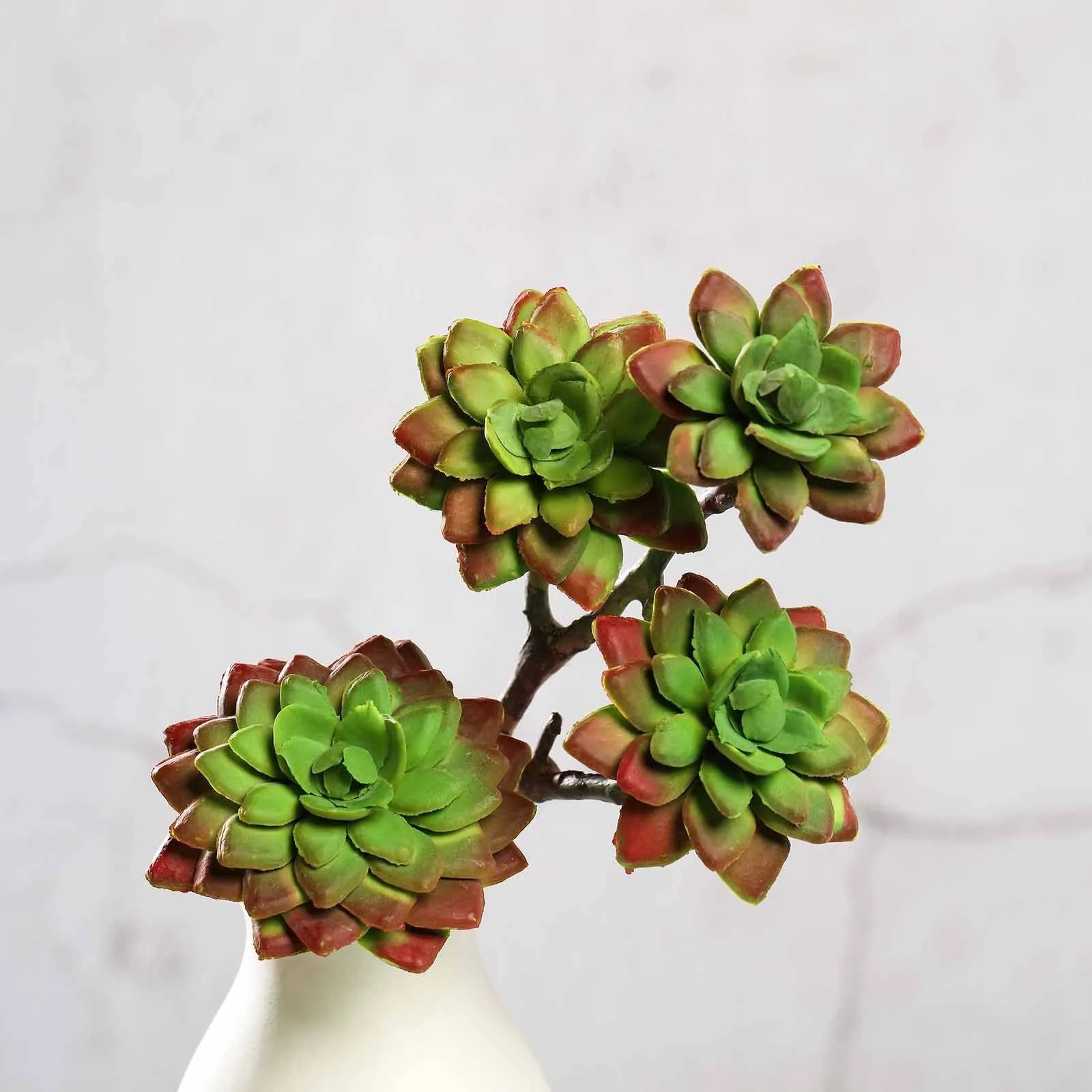 Set of 3 | 12" Assorted Artificial Succulent Plants Echeveria Long Stem Air Plants