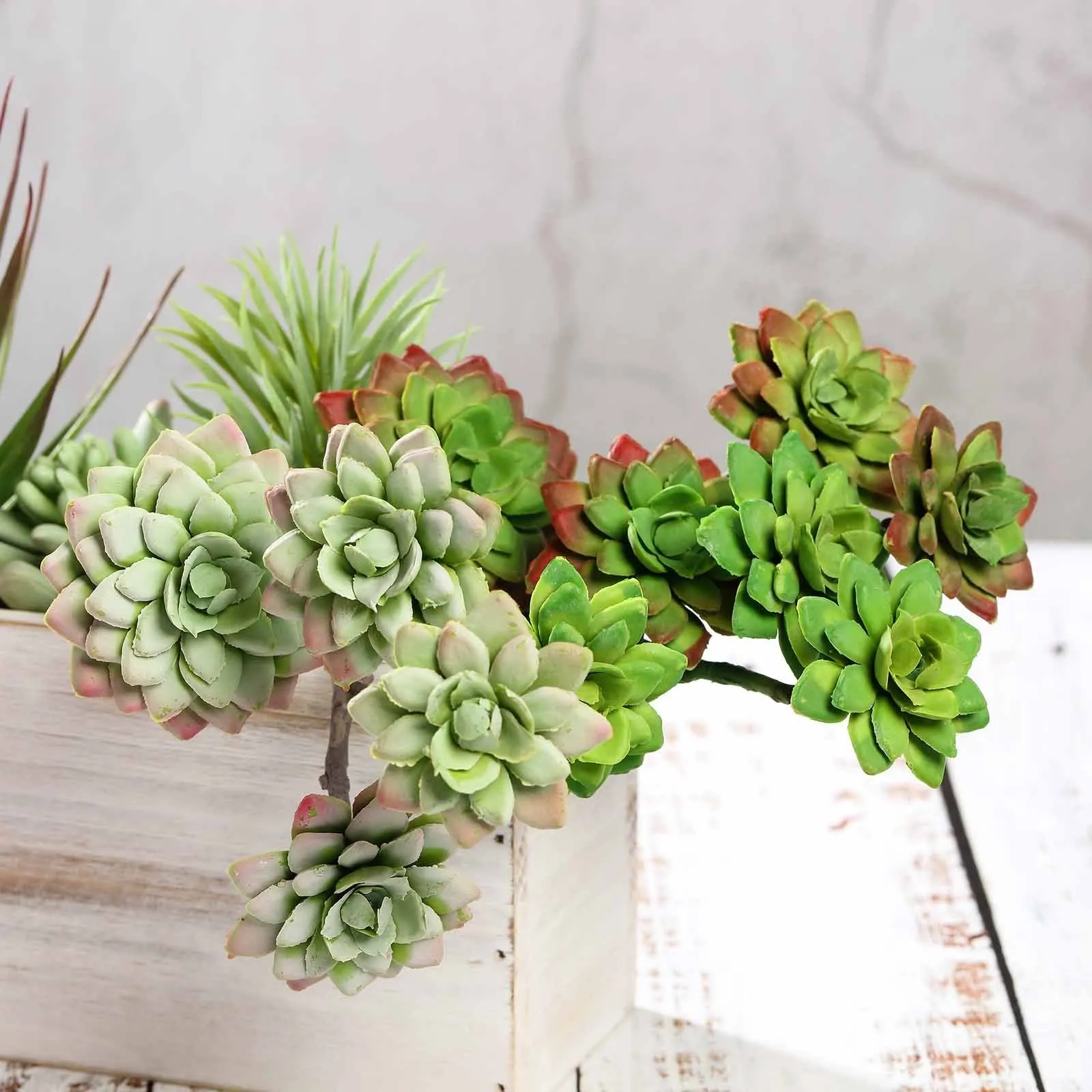 Set of 3 | 12" Assorted Artificial Succulent Plants Echeveria Long Stem Air Plants