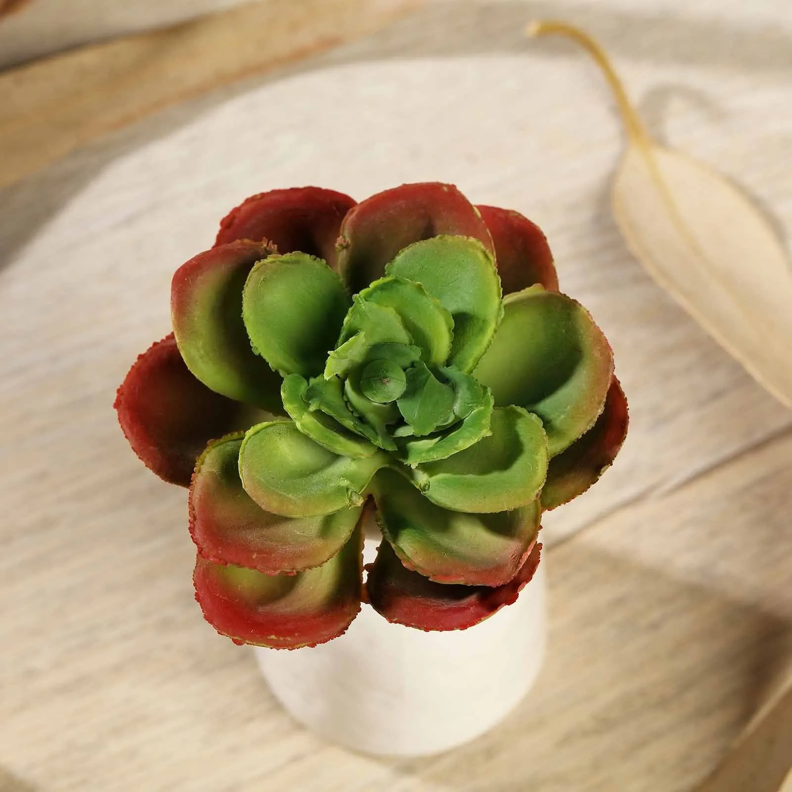 Set of 3 | 3" Echeveria Orion Decorative Artificial Plants