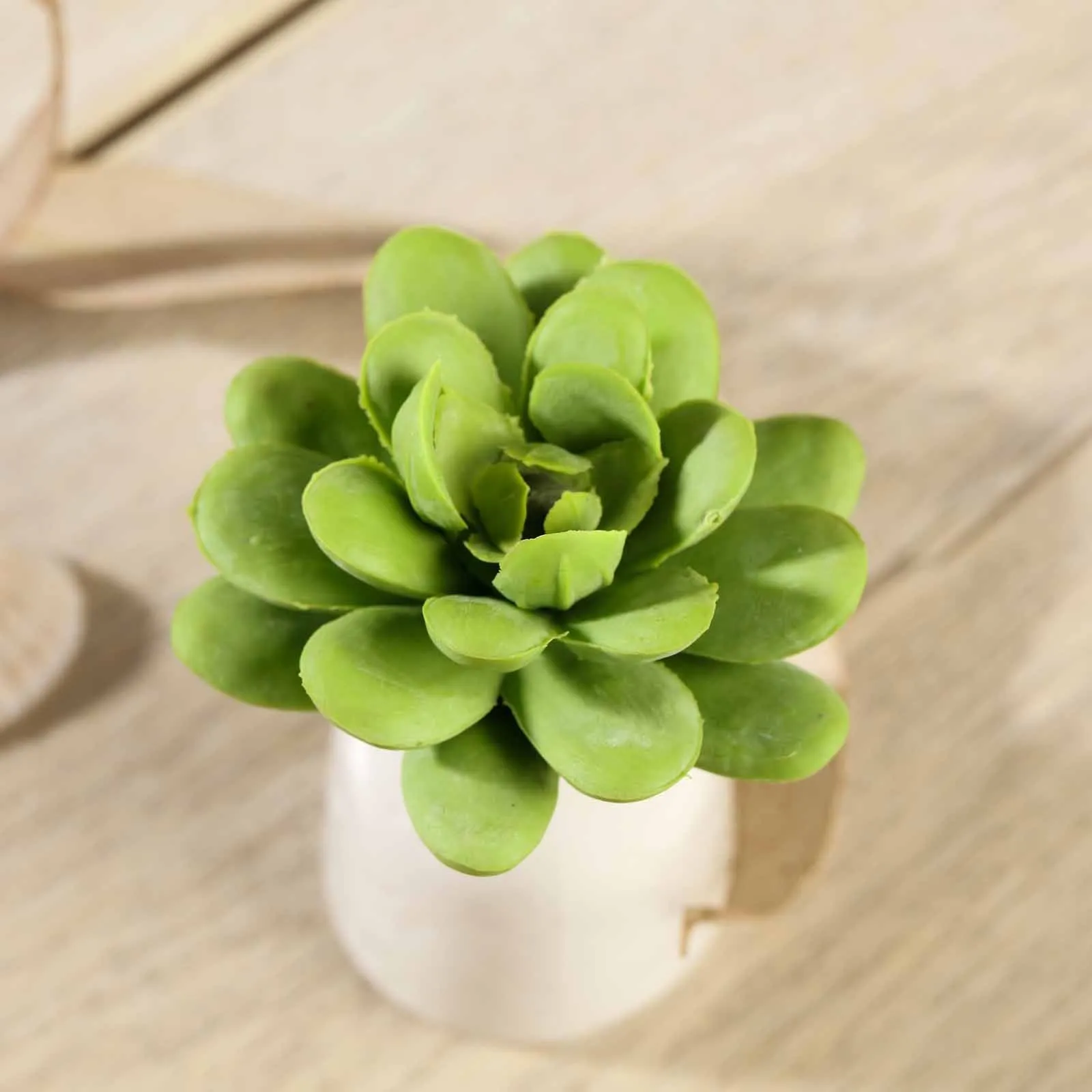 Set of 3 | 3" Roundleaf Echeveria Stems Decorative Artificial Plants