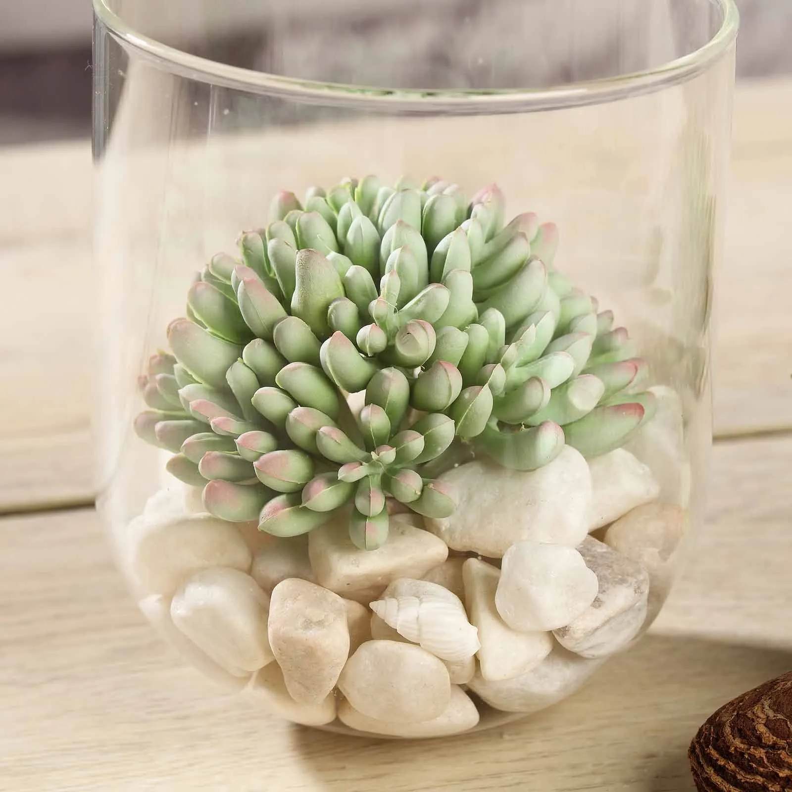 Set of 3 | 4" Mini Jelly Bean Decorative Artificial Plants