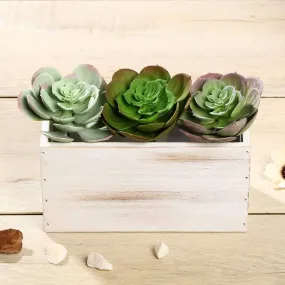 Set of 3 | 6" Echeveria Stem Decorative Artificial Plants