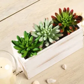 Set of 3 | 6" Spike Aeonium Decorative Artificial Plants
