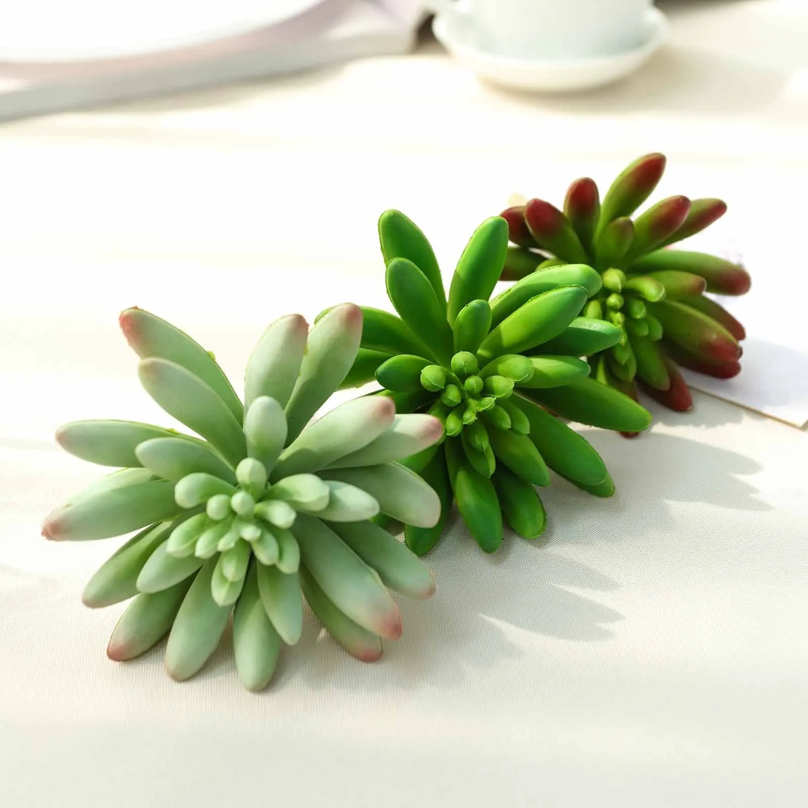 Set of 3 | 6" Spike Aeonium Decorative Artificial Plants
