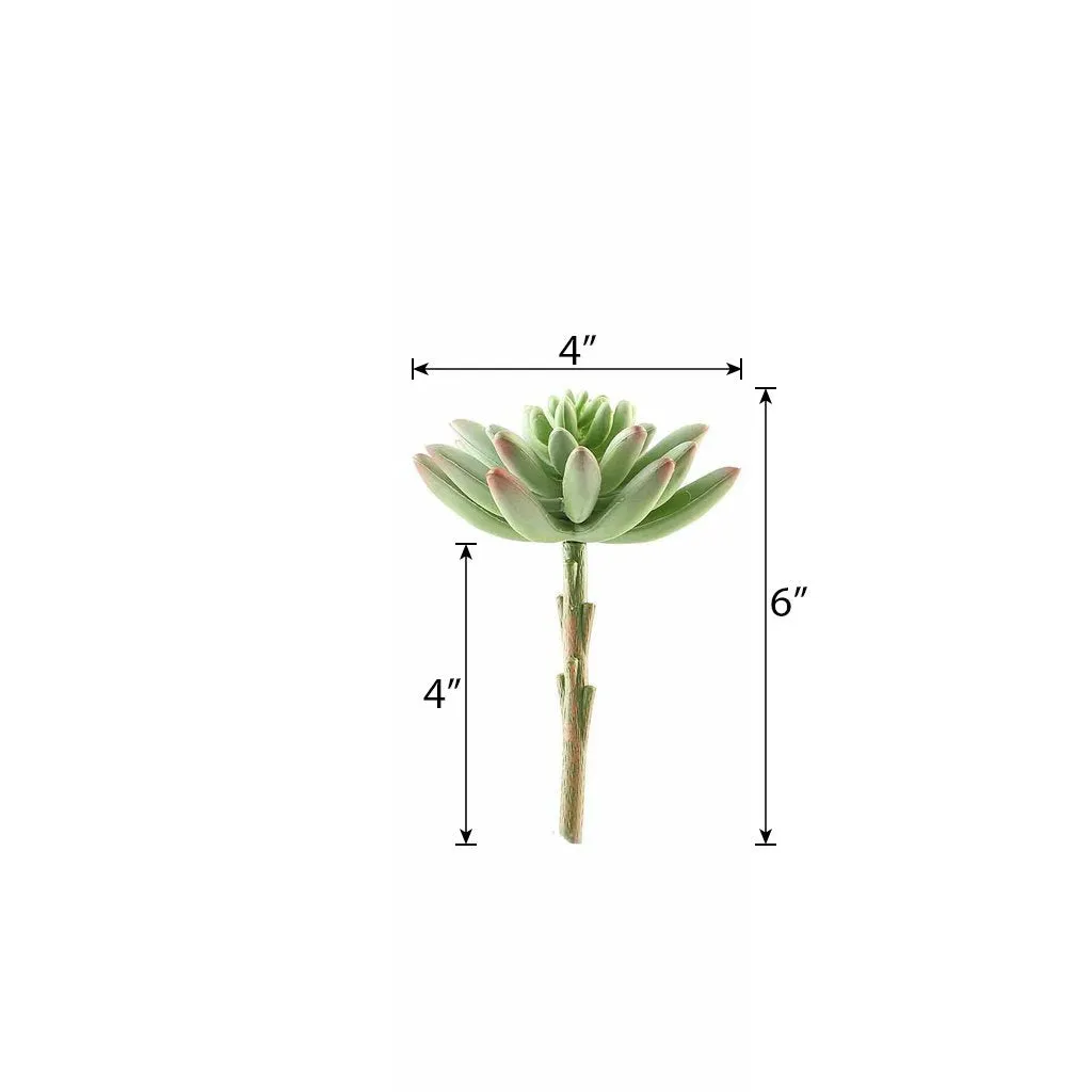 Set of 3 | 6" Spike Aeonium Decorative Artificial Plants