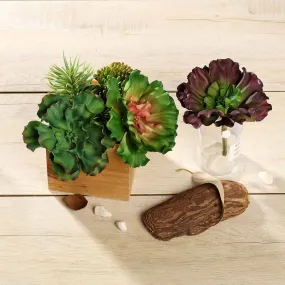 Set of 3 | 6" Wavy Kalanchoe Decorative Artificial Plants