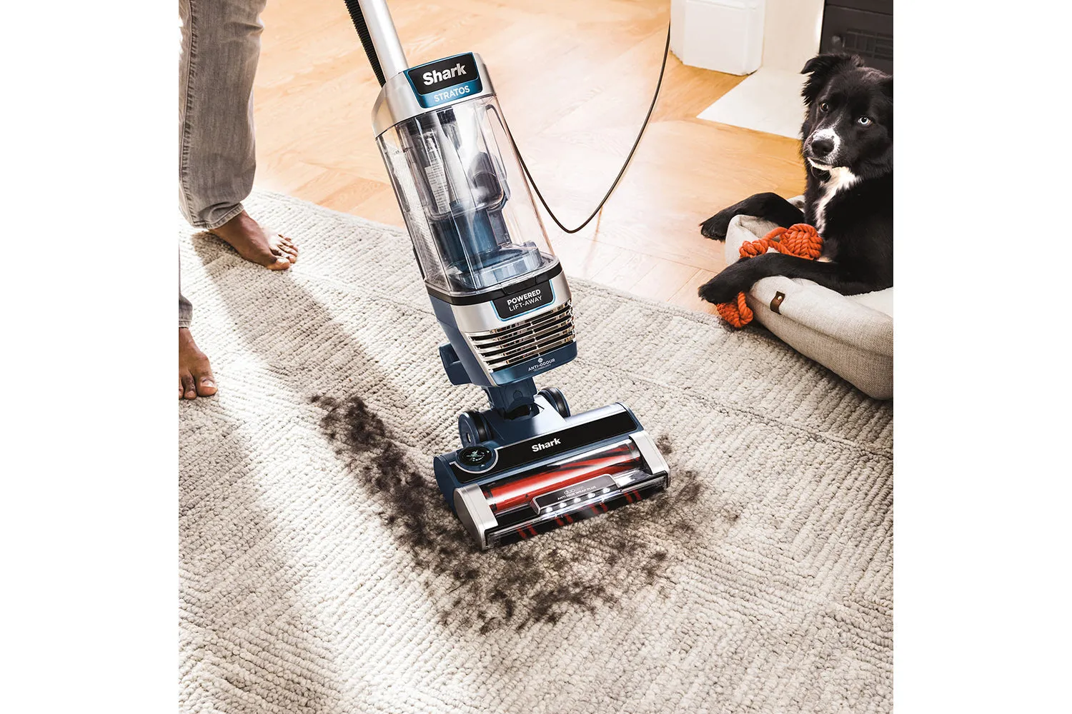Shark Stratos Anti Hair Wrap Pet Pro XL Stick Vacuum Cleaner | AZ3000UKT